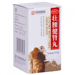 Pills to strengthen the kidneys "Chzhuanyao Tszyanshen" (Zhuangyao Jiansheng Wan)